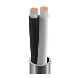 Belden High-Conductivity Copper Speaker Cable Twisted Jack 1 Pair 14AWG 2.08mm Chrome - 305m Reel